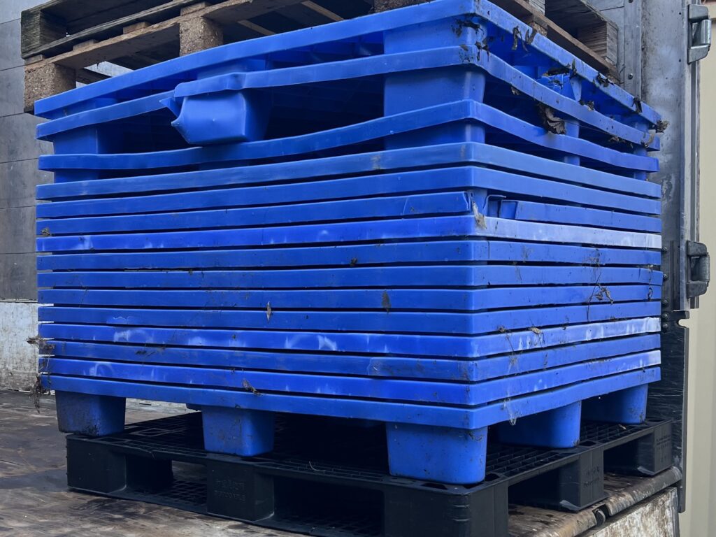 Blue plastic pallets stacked for collection in London